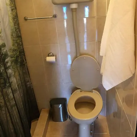 Jagodinska Oaza