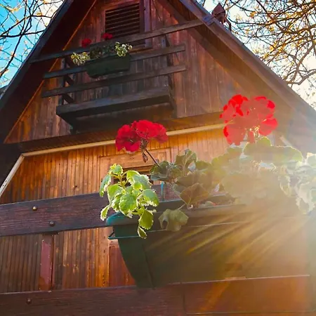 Jagodinska Oaza Holiday home *