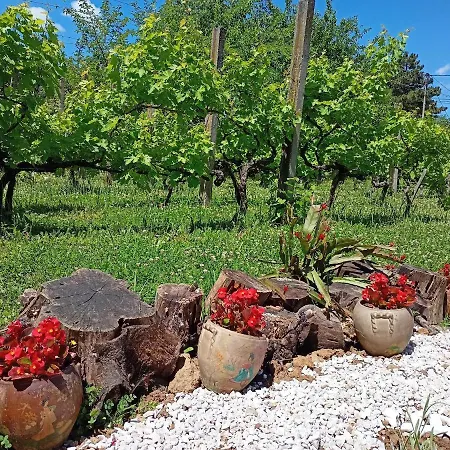 Jagodinska Oaza Holiday home Jagodina