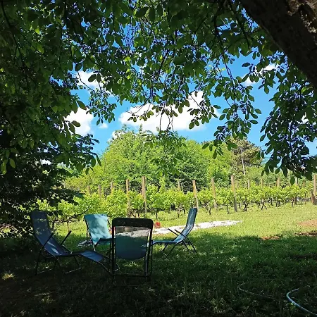 Holiday home Jagodinska Oaza Jagodina