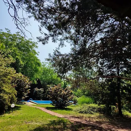 Holiday home Jagodinska Oaza Jagodina