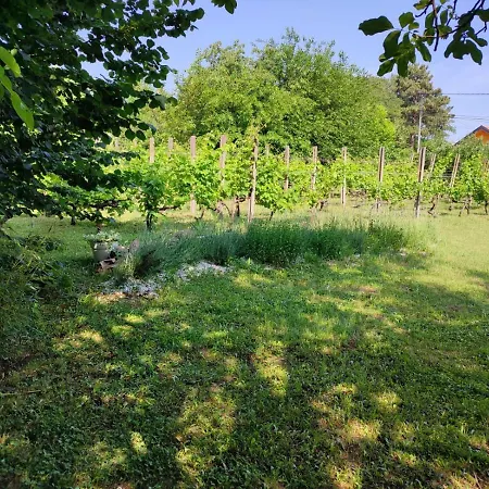 Holiday home Jagodinska Oaza Jagodina